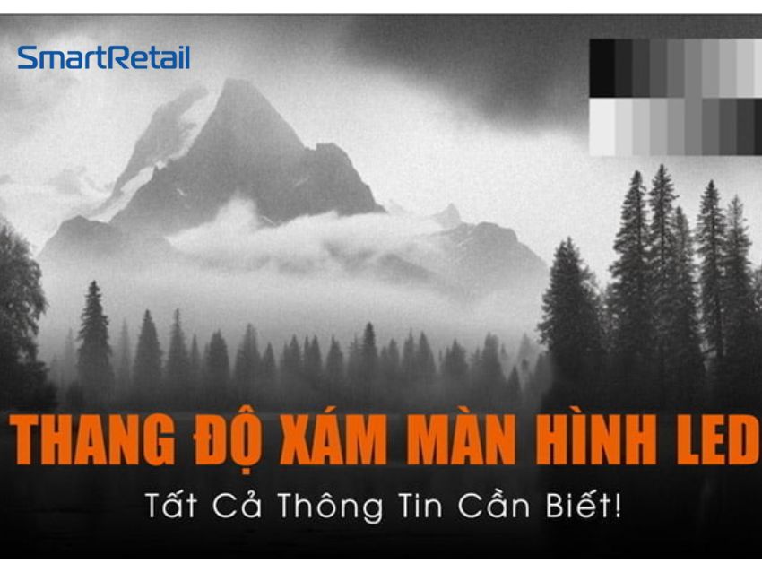 Thang độ xám là gì?  Tầm quan trọng và màu bit hình ảnh